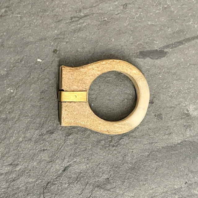 Shed Antler & Brass Ring