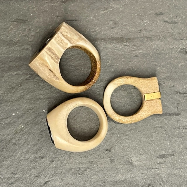 Shed Antler & Sapphire Ring
